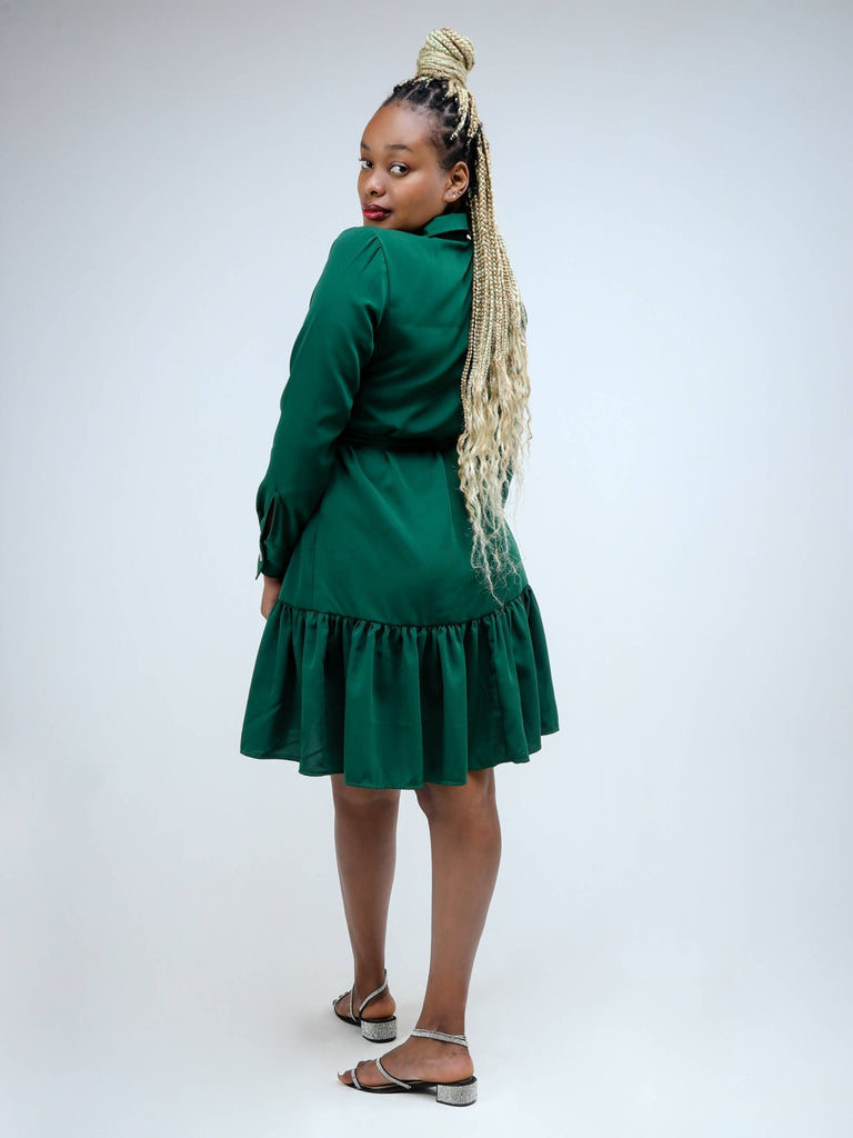 Phyls Collections Sheila Shirt Knee Length Dress - Green - Shopzetu
