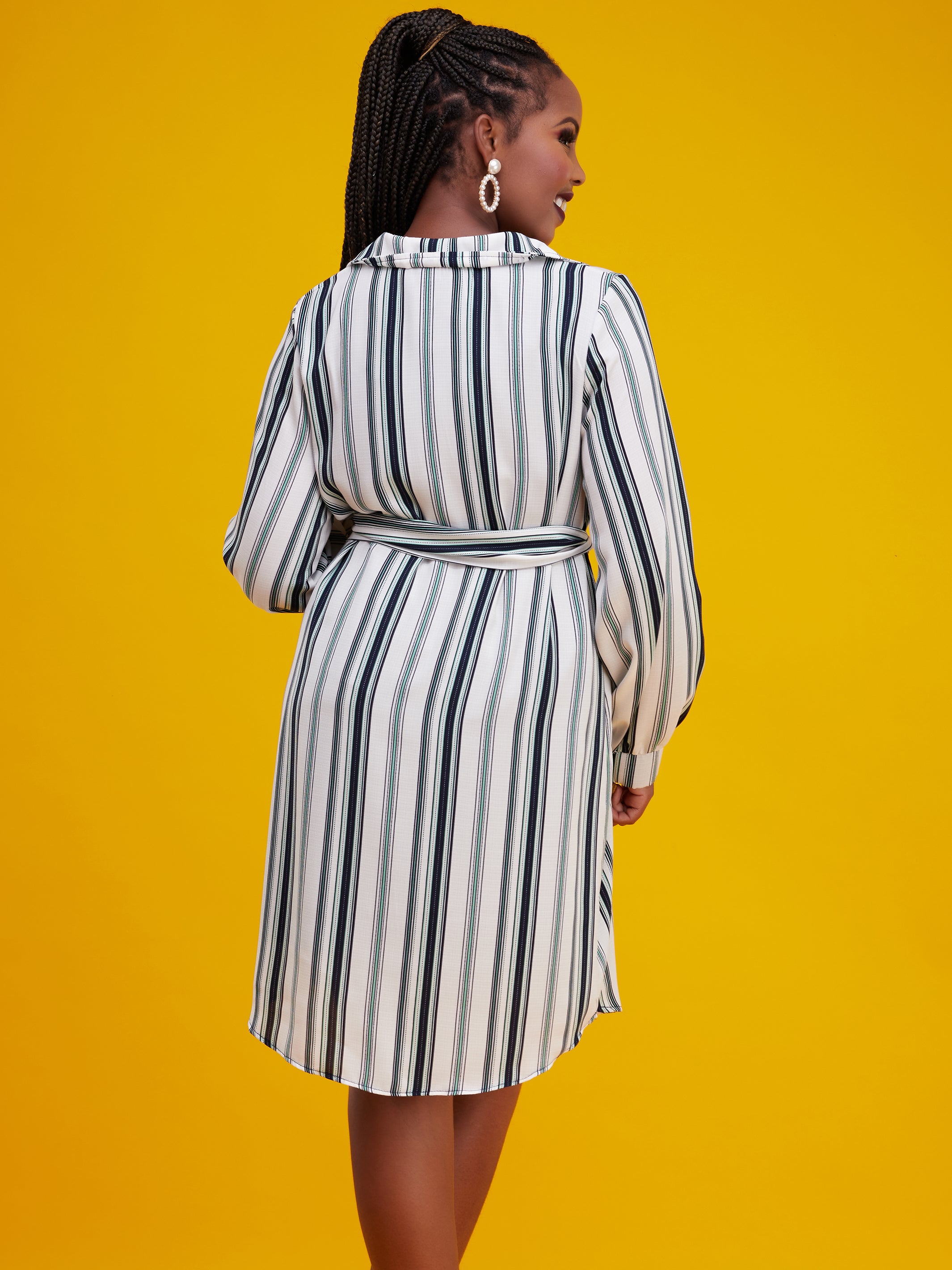 Vivo Tsavo A-Line Dress - White / Green Stripes